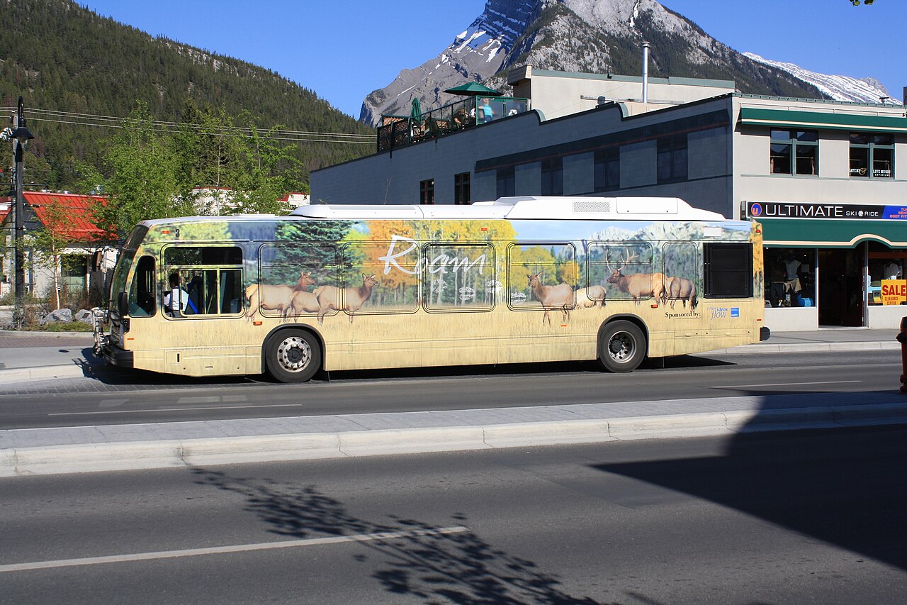 Autobus Roam sur Banff Avenue avec les montagnes derrière la ville