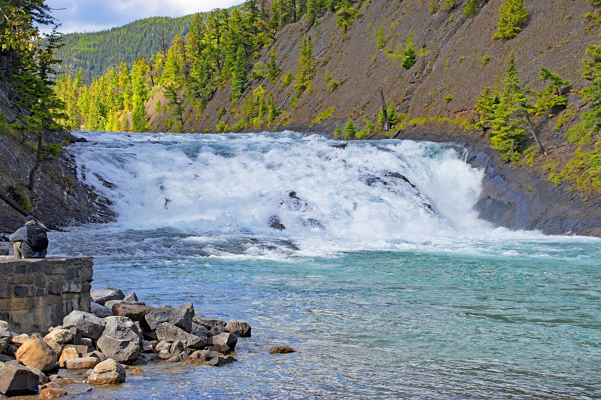 Bow Falls à Banff avec eau, rivière, forêt et montagne en contexte