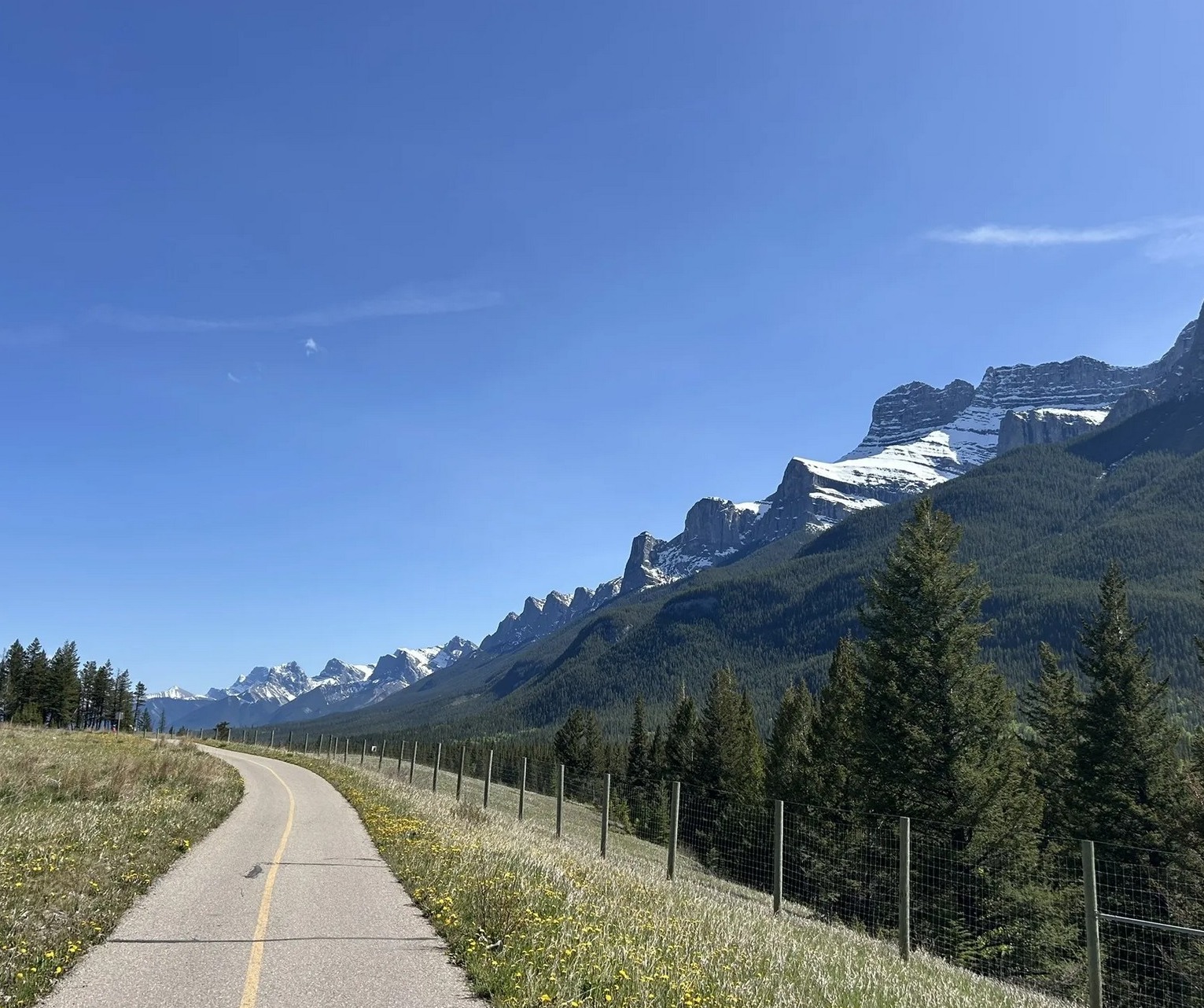 Sentier Legacy Trail ensoleillé dans le paysage de montagne de la Bow Valley entre Canmore et Banff